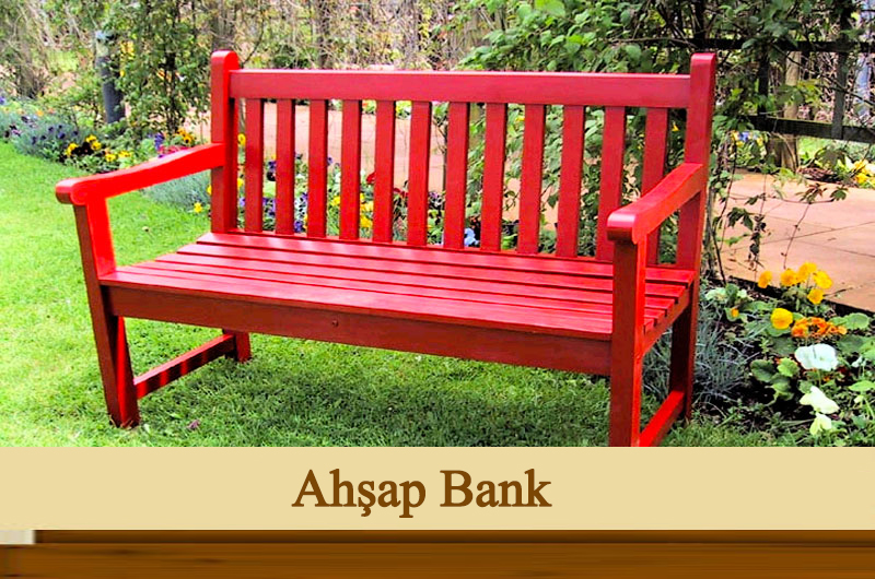 Pergola ve Kamelya Bakım Önerileri